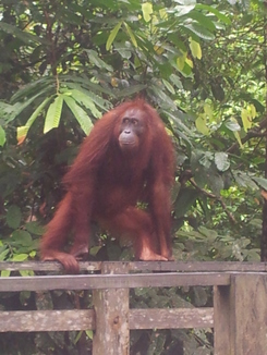 thumb_2012-01-11_14.42.53.jpg