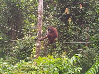 thumb_2012-01-11_14.51.52.jpg