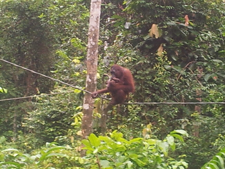 thumb_2012-01-11_14.53.16.jpg