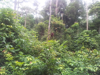 thumb_2012-01-11_14.53.24.jpg