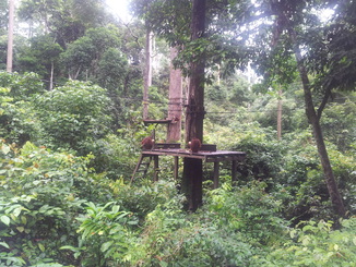 thumb_2012-01-11_15.03.29.jpg