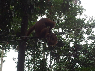 thumb_2012-01-11_15.36.45.jpg