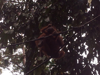 thumb_2012-01-11_15.41.00.jpg