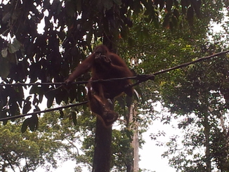 thumb_2012-01-11_15.46.23.jpg