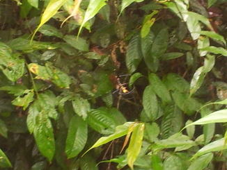 thumb_2012-01-11_15.50.40.jpg