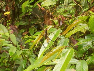 thumb_2012-01-11_15.51.21.jpg