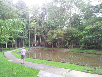 thumb_2012-01-13_11.33.44.jpg