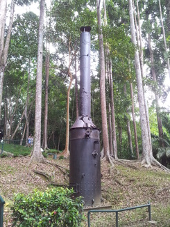 thumb_2012-01-13_11.37.49.jpg