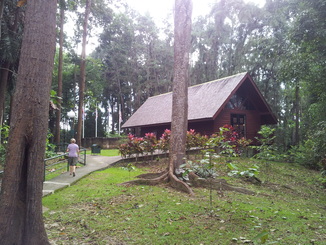 thumb_2012-01-13_11.54.07.jpg