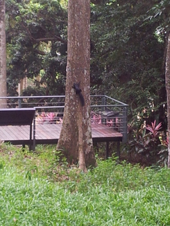 thumb_2012-01-13_12.43.45.jpg