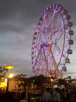 thumb_2012-01-17_18.00.51.jpg
