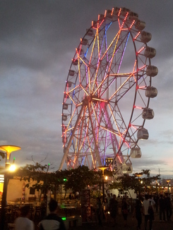thumb_2012-01-17_18.01.06.jpg