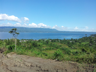thumb_2012-01-19_11.17.21.jpg