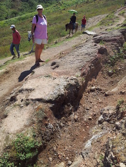 thumb_2012-01-19_11.42.33.jpg