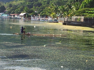 thumb_2012-01-19_15.49.43.jpg