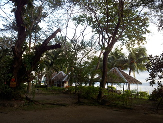 thumb_2012-01-19_16.58.32.jpg