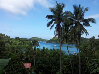 thumb_2012-01-22_10.36.59.jpg