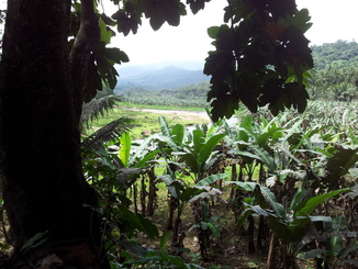 thumb_2012-01-22_12.55.45.jpg