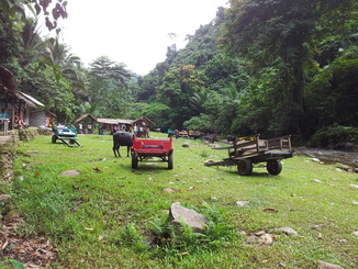 thumb_2012-01-22_14.49.17.jpg