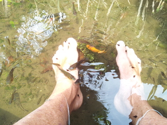 thumb_bukit_lewang_to_UK_868.jpg