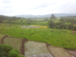 thumb_bukit_lewang_to_UK_550.jpg