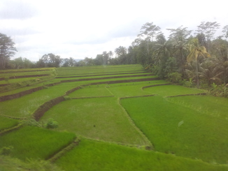 thumb_bukit_lewang_to_UK_552.jpg