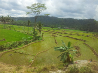 thumb_bukit_lewang_to_UK_556.jpg