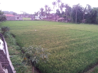 thumb_bukit_lewang_to_UK_589.jpg