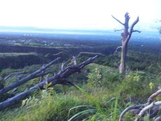 thumb_bukit_lewang_to_UK_595.jpg