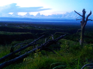 thumb_bukit_lewang_to_UK_599.jpg