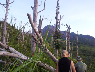 thumb_bukit_lewang_to_UK_619.jpg