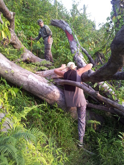 thumb_bukit_lewang_to_UK_626.jpg