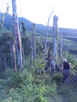 thumb_bukit_lewang_to_UK_630.jpg