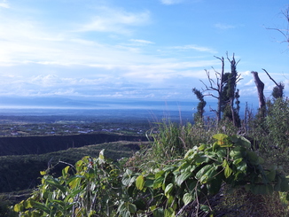 thumb_bukit_lewang_to_UK_637.jpg