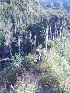 thumb_bukit_lewang_to_UK_638.jpg