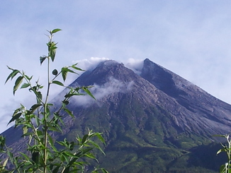 thumb_bukit_lewang_to_UK_652.jpg