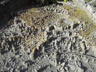 thumb_bukit_lewang_to_UK_655.jpg