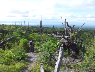 thumb_bukit_lewang_to_UK_658.jpg