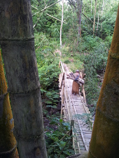 thumb_bukit_lewang_to_UK_662.jpg