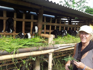 thumb_bukit_lewang_to_UK_663.jpg