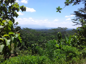 thumb_bukit_lewang_to_UK_682.jpg