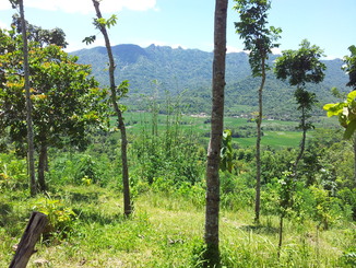 thumb_bukit_lewang_to_UK_688.jpg