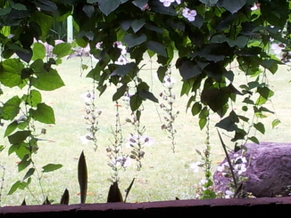 thumb_bukit_lewang_to_UK_694.jpg