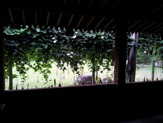 thumb_bukit_lewang_to_UK_696.jpg
