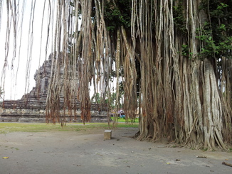 thumb_bukit_lewang_to_UK_699.jpg