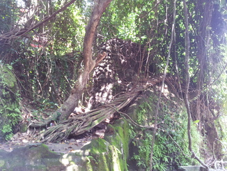 thumb_bukit_lewang_to_UK_778.jpg