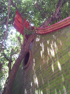 thumb_bukit_lewang_to_UK_779.jpg