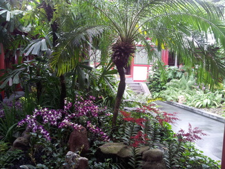 thumb_bukit_lewang_to_UK_1022.jpg