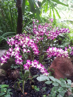 thumb_bukit_lewang_to_UK_1025.jpg