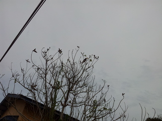 thumb_bukit_lewang_to_UK_1060.jpg